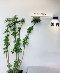 -美森形象