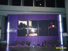 动态展板-紫峰大厦