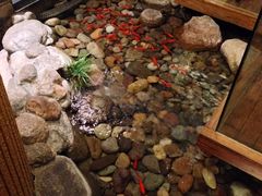 -萨拉伯尔(燕莎友谊商城店)