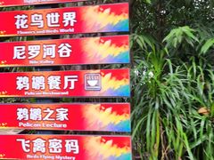 -广州长隆飞鸟乐园