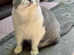 -黄氏祖传百暖凉茶店