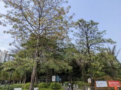 -东风公园