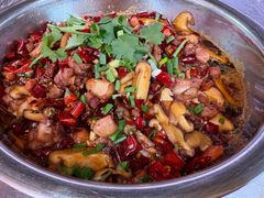 -食神又名厕所兔