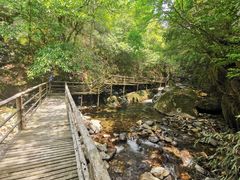 -东天目山风景区