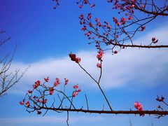 -广富林郊野公园