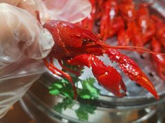 -0574龙虾的故事(东裕店)