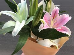 -沪花拾者(好再来花卉鲜花店)