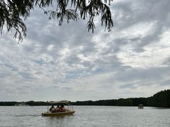 -上海海湾国家森林公园