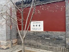 -红螺寺