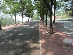 -白水寺森林公园