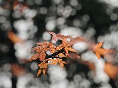-青岛崂山太清宫