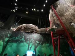 -珠海横琴国家地理探险家中心(创新方)