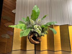 -今日陶艺(富力广场店)