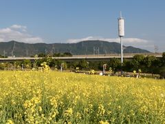 -光明小镇欢乐田园