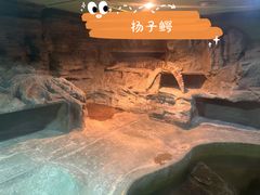 -上海大自然野生昆虫馆(东方明珠·爬宠昆虫探索中心)