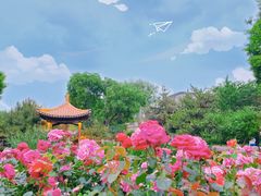 -三里河公园