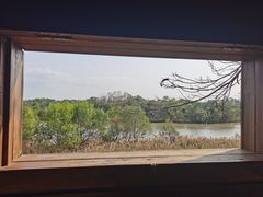 -华侨城湿地公园