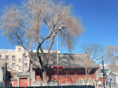 -法兴寺