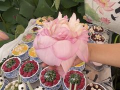 -七的湖·晚芳亭·阳澄湖农家菜·大闸蟹(莲花岛店)