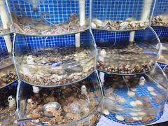 水产区-戴见海蒸汽海鲜自助餐厅(刘庄店)