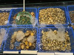 水产区-石浦大酒店(百丈店)