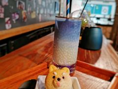 -柴犬高等学院·狗咖·柴犬售卖·宠物训练