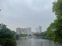 -荔湾湖公园