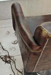 -BOJUE·铂爵造型烫发·染发