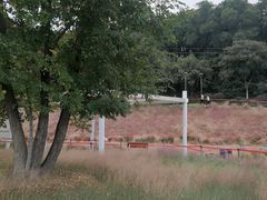-牛岗山公园