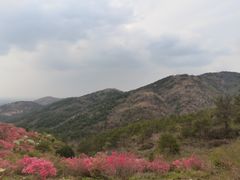 -木兰云雾山