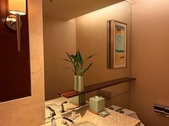-深圳星河丽思卡尔顿酒店