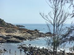 -广东惠东海龟国家级自然保护区