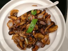 -马仕玖煲·融合菜·酥不腻烤鸭(人大店)