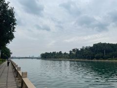 -白鹭洲公园