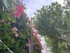 -一大会址·新天地(地铁站)