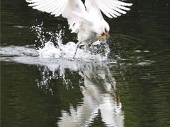-重庆彩云湖湿地公园