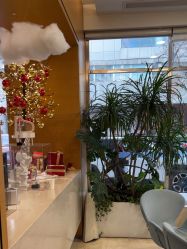 -杭州贝瑞斯美华妇儿医院·早孕·产检·儿科