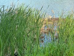 -盘龙城国家考古遗址公园