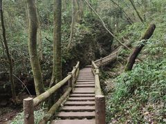 -青城山