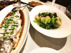 -金美华轩(东方路齐鲁店)