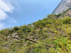 -鹿院坪生态旅游景区