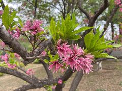 -滨河世纪广场公园