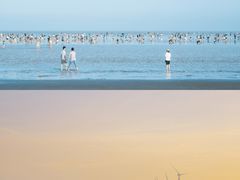 -南汇嘴观海公园