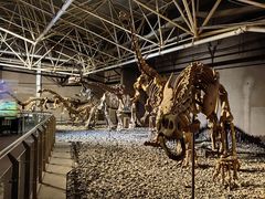 -世界恐龙谷景区