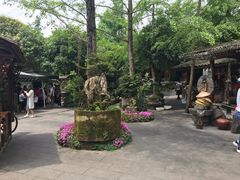 -青城甲(青城山店)