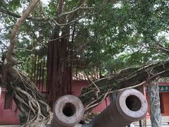 -闽粤南澳总镇府