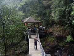 -九龙江国家森林公园