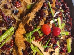 -老板恋上鱼(恒隆广场店)