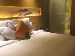 -苏州金鸡湖文博诺富特酒店