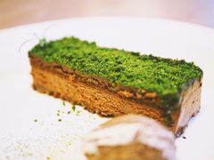 苔藓-知亘茶食